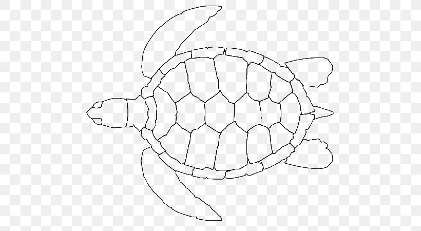 Green Sea Turtle Loggerhead Sea Turtle Hawksbill Sea Turtle, PNG, 600x450px, Turtle, Animal, Art, Box Turtle, Caretta Download Free