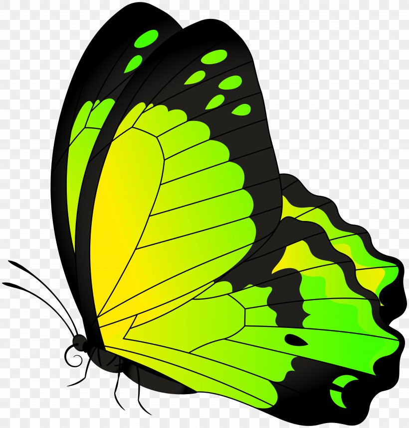 Butterfly Clip Art, PNG, 7621x8000px, Butterfly, Arthropod, Brush Footed Butterfly, Butterflies And Moths, Clip Art Download Free