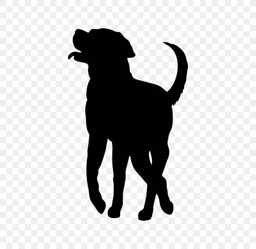 Labrador Retriever Puppy Dog Breed Smooth Collie Rough Collie, PNG, 800x800px, Labrador Retriever, Australian Cattle Dog, Black, Black And White, Carnivoran Download Free