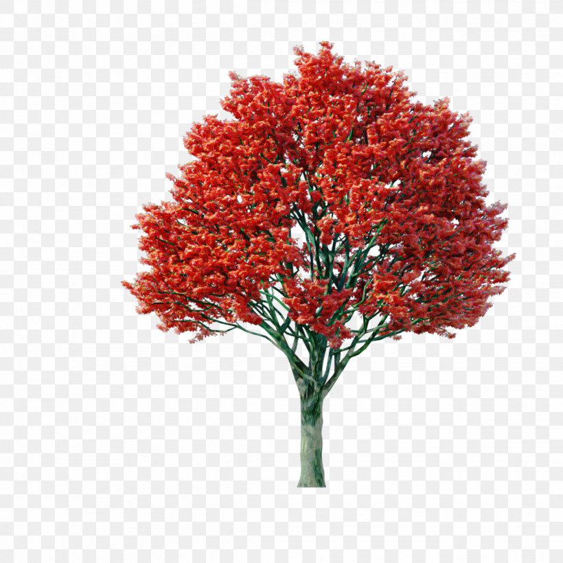Plant Tree Red Flower Leaf, PNG, 2289x2289px, Plant, Cut Flowers, Flower, Leaf, Maple Download Free