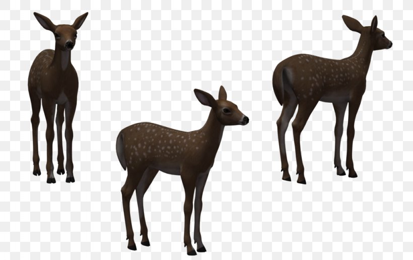 White-tailed Deer Elk Clip Art, PNG, 1024x645px, Whitetailed Deer, Antelope, Antler, Art, Cartoon Download Free