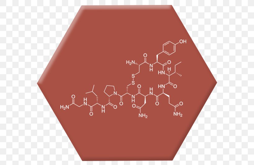 Attraction: Elements Of Chemistry Chemical Formula Oxytocin Hormone, PNG, 600x534px, Chemistry, Chemical Formula, Formula, Hormone, Love Download Free