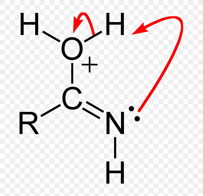 Functional Group Acrolein Carbonyl Group Organic Compound Aldehyde, PNG, 761x791px, Functional Group, Acid, Acrolein, Acyl Halide, Aldehyde Download Free
