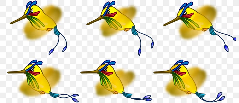 Hummingbird Cygnini Goose Beak, PNG, 800x356px, Bird, Beak, Cygnini, Duck, Ducks Download Free