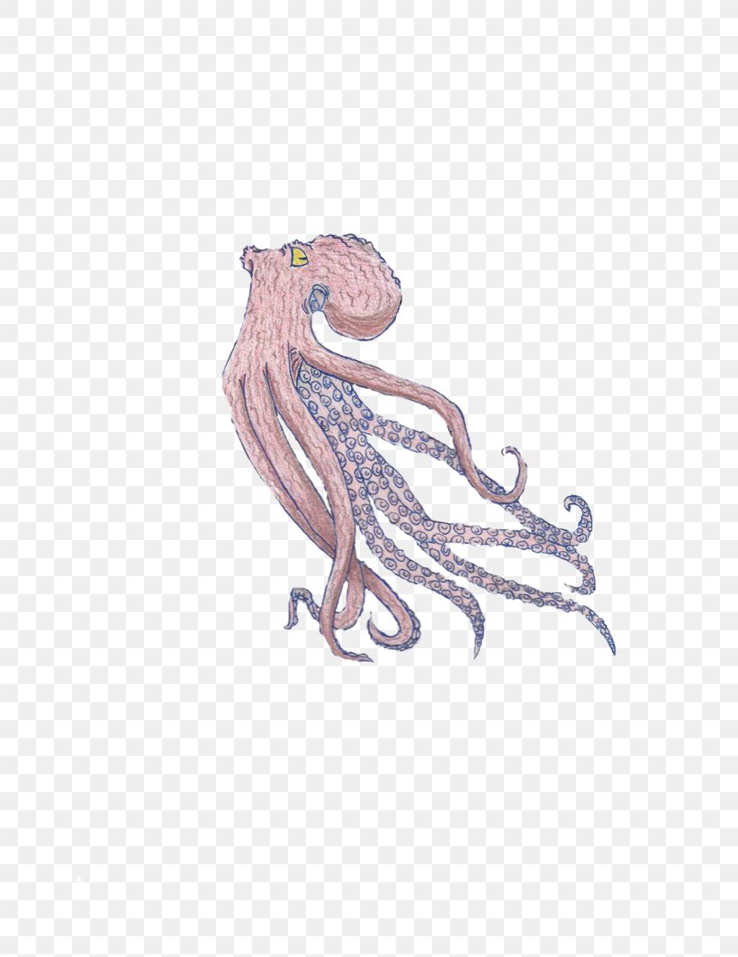 Octopus Drawing Art Cephalopod Squid, PNG, 752x1063px, Octopus, Animal, Art, Body Jewelry, Cephalopod Download Free