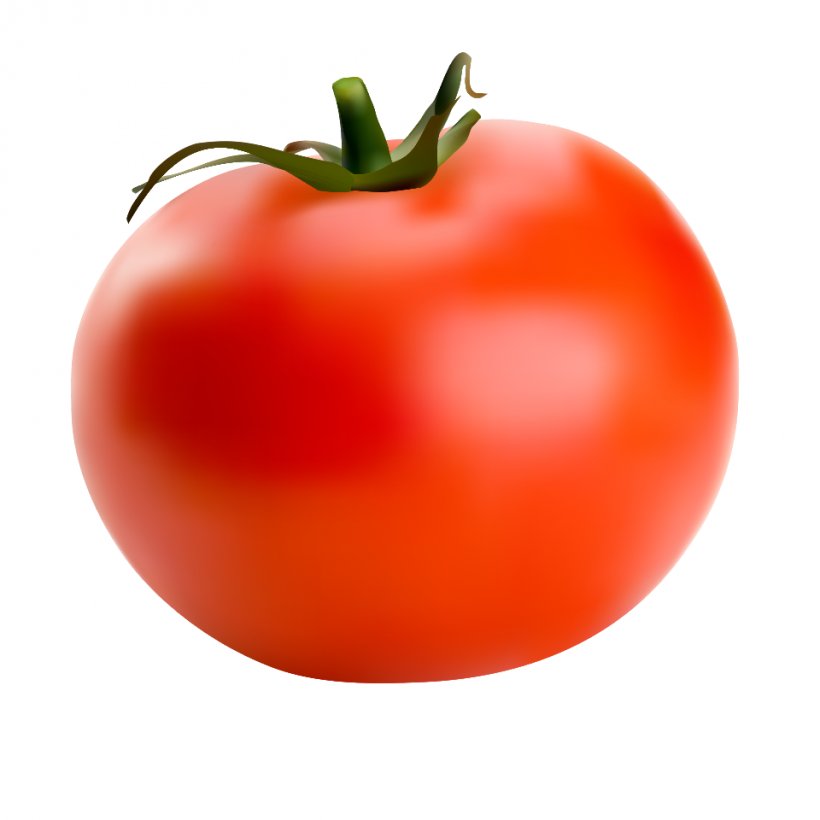 Roma Tomato Cherry Tomato Vegetable Heirloom Tomato Bell Pepper, PNG, 960x960px, Roma Tomato, Bell Pepper, Bush Tomato, Capsicum, Carrot Download Free