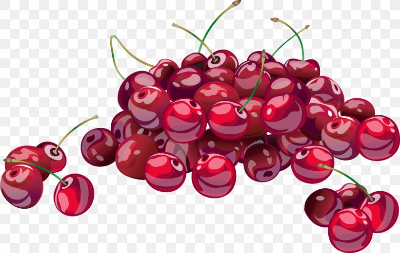 Juice Cherries Jubilee Sour Cherry, PNG, 1600x1016px, Juice, Berry, Cherries Jubilee, Cherry, Cherry Blossom Download Free
