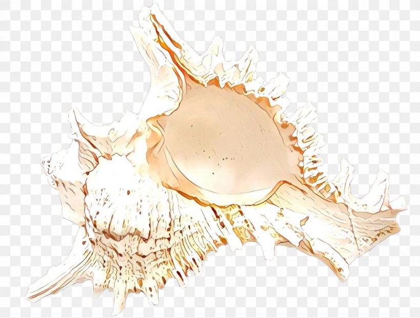 Seashell Beige, PNG, 1200x910px, Cartoon, Beige, Jaw, Seashell Download Free