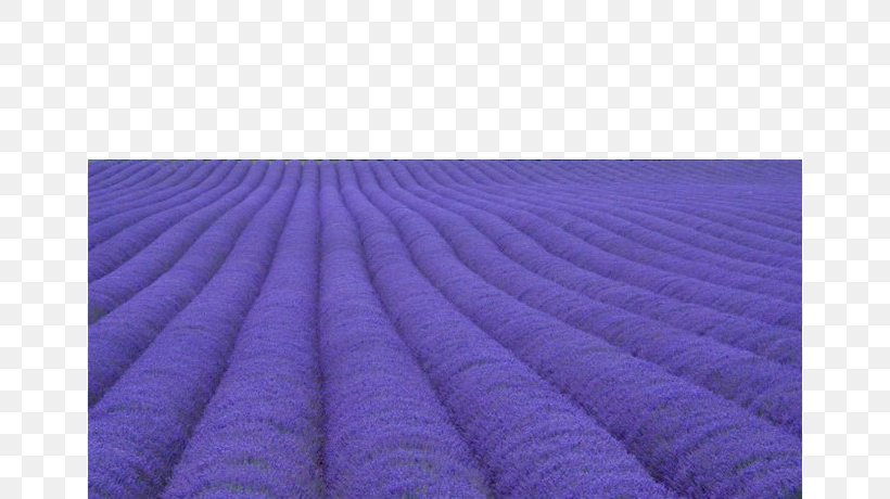 Violet Textile, PNG, 658x460px, Violet, Lavender, Lilac, Purple, Textile Download Free