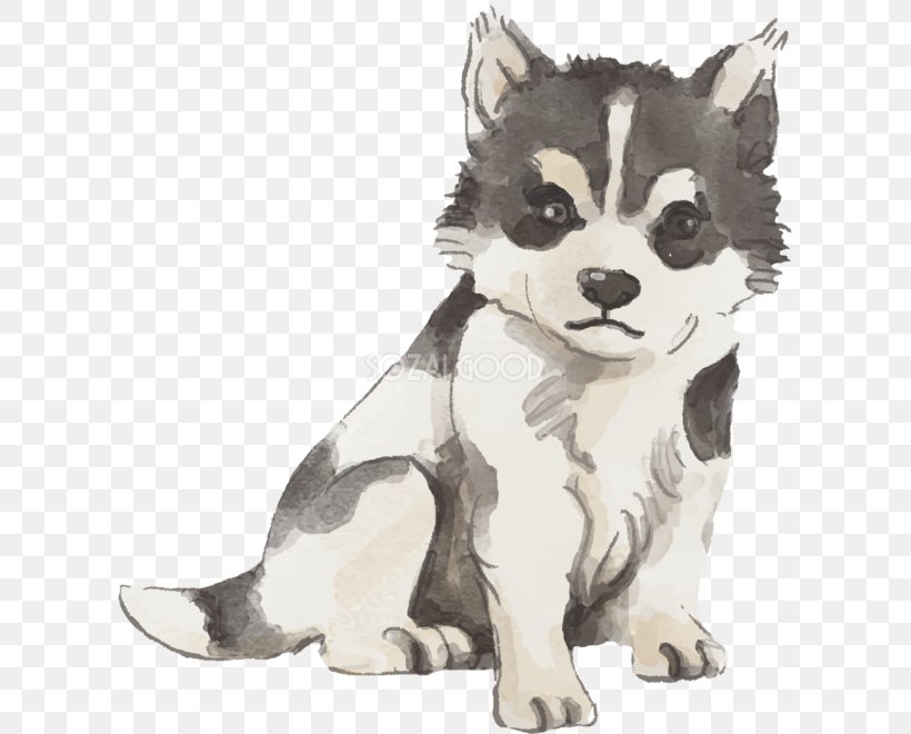 Sakhalin Husky Siberian Husky Alaskan Malamute Alaskan Klee Kai Puppy, PNG, 611x660px, Sakhalin Husky, Alaskan Husky, Alaskan Klee Kai, Alaskan Malamute, Animal Figure Download Free