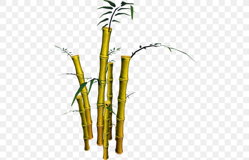 Bamboo Musical Instruments Phyllostachys Aurea RuneScape Plant Stem, PNG, 480x528px, Bamboo, Asgarnia, Bamboo Musical Instruments, Bambusodae, Branch Download Free