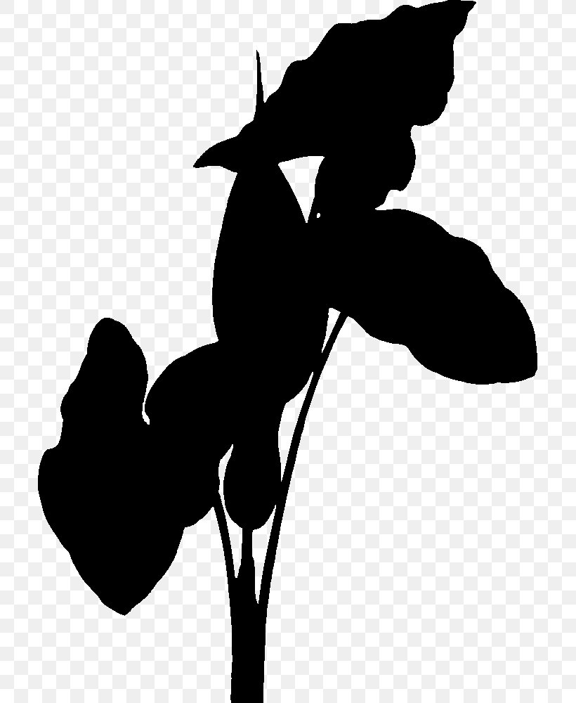 Horse Clip Art Mammal Silhouette H&M, PNG, 711x1000px, Horse, Black M, Blackandwhite, Flowering Plant, Mammal Download Free