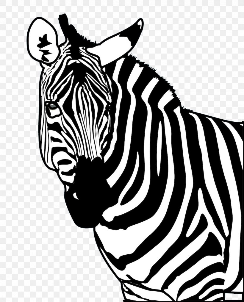 Zebra Drawing Poster Clip Art, PNG, 1024x1268px, Zebra, Big Cats, Black, Black And White, Drawing Download Free