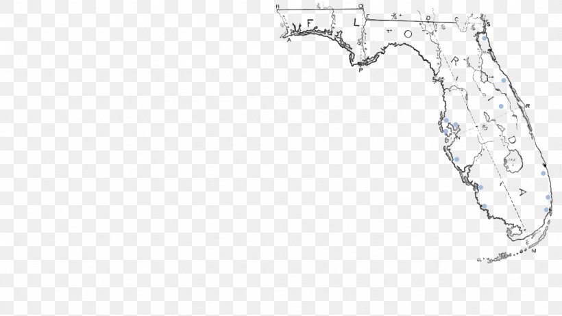 Florida Line Art Drawing Point Angle, PNG, 1078x608px, Florida, Animal, Area, Art, Artwork Download Free