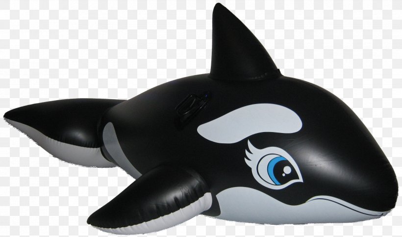 Killer Whale Inflatable Swimming Pool Game, PNG, 3355x1977px, Killer Whale, Blackfish, Child, Dolphin, Fish Download Free