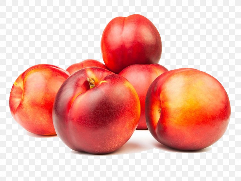 Nectarine Peach Fruit Cream Peel, PNG, 1024x768px, Nectarine, Accessory Fruit, Acerola, Acerola Family, Apple Download Free