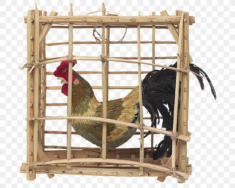 Rooster Cage Chicken Hen Kifaranga, PNG, 700x656px, Rooster, Bird, Birdcage, Cage, Chicken Download Free