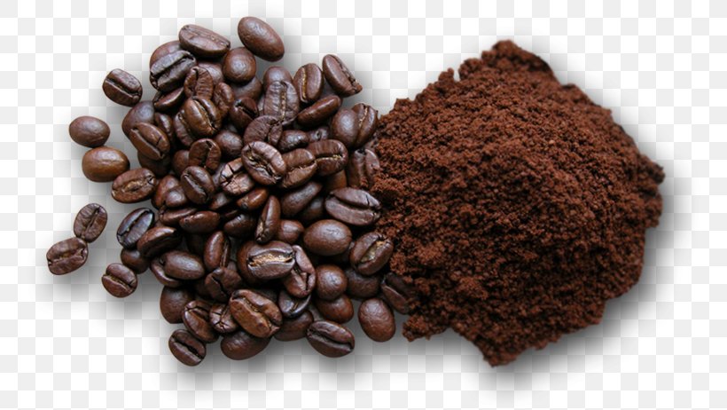 Coffee Bean Instant Coffee Espresso Powder, PNG, 764x462px, Coffee, Baking, Bean, Caffeine, Chocolate Download Free
