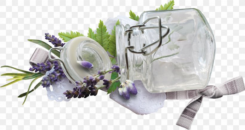 Lavender Flower Violet, PNG, 3351x1783px, Lavender, Cut Flowers, Flower, Garden Roses, Glass Download Free