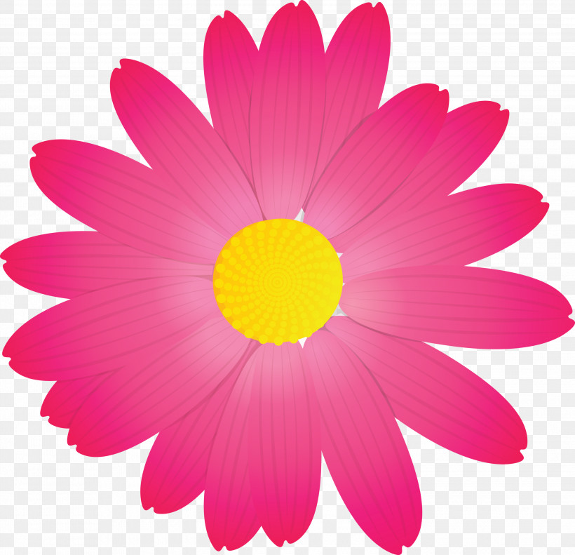 Marguerite Flower Spring Flower, PNG, 3000x2895px, Marguerite Flower, Barberton Daisy, Camomile, Chamomile, Cosmos Download Free