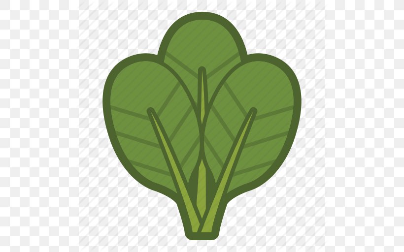 Organic Food Spinach Leaf Vegetable, PNG, 512x512px, Organic Food, Beetroot, Cabbage, Food, Grass Download Free
