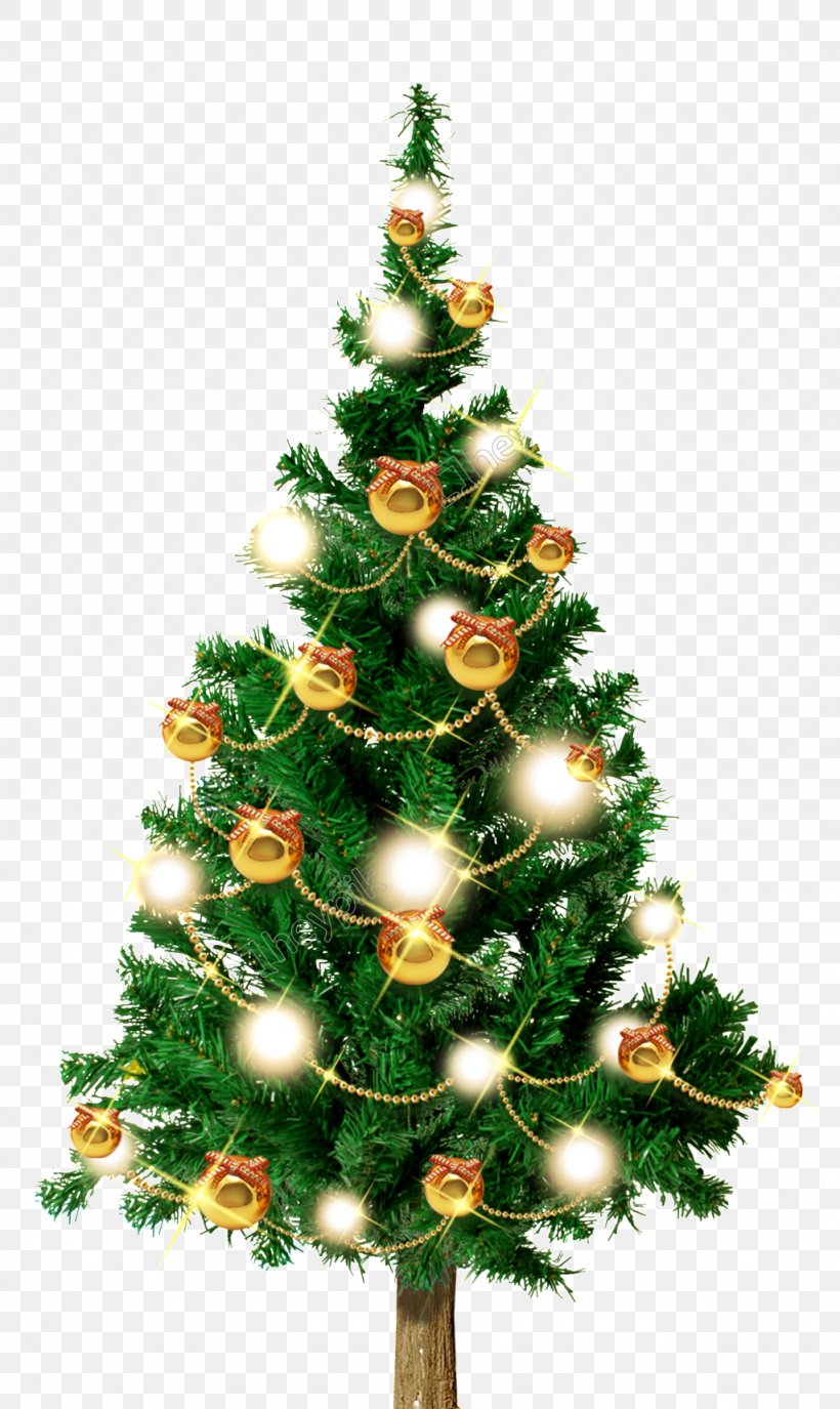 Christmas Tree Fir Santa Claus Christmas Day Christmas Ornament, PNG, 1024x1718px, Christmas Tree, Christmas, Christmas Card, Christmas Day, Christmas Decoration Download Free