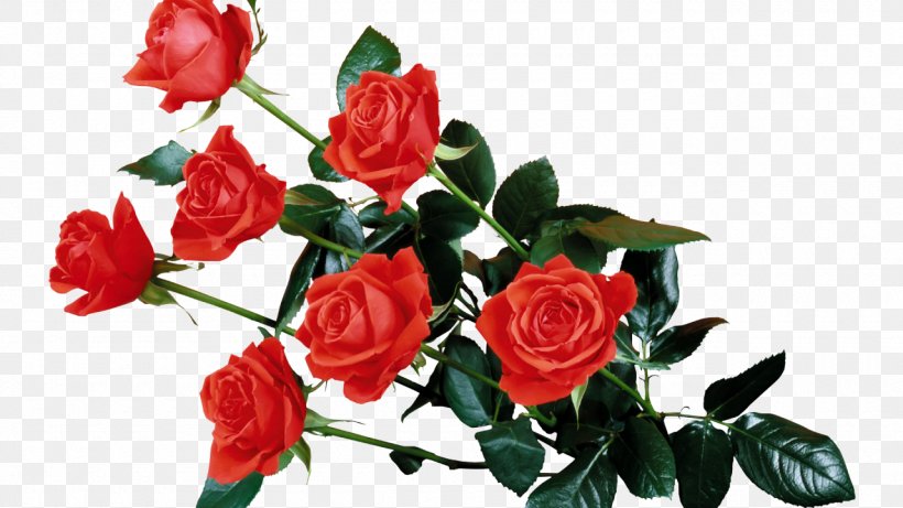 Flower Rose Desktop Wallpaper Clip Art, PNG, 1280x720px, Flower, Artificial Flower, Branch, Cut Flowers, Display Resolution Download Free