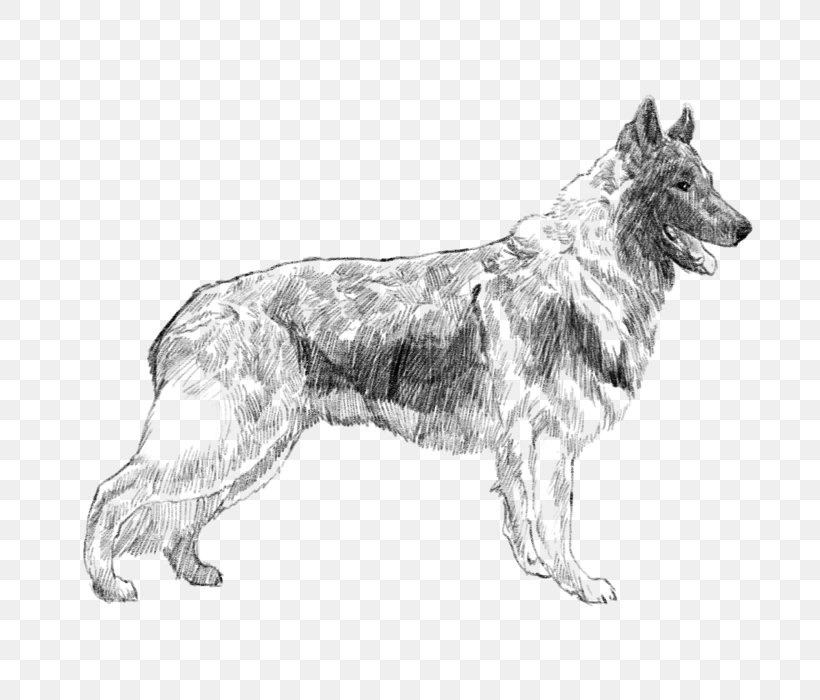 German Shepherd Kunming Wolfdog Tervuren Shiloh Shepherd Dog Dog Breed, PNG, 700x700px, German Shepherd, Ancestor, Black And White, Breed, Carnivoran Download Free