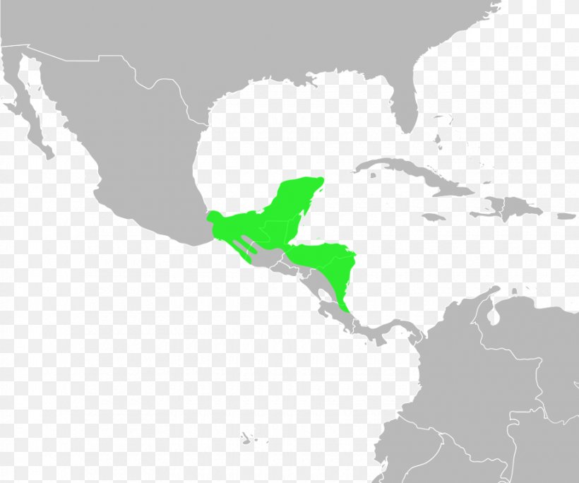 Gulf Coast Toad Incilius Marmoreus Incilius Luetkenii, PNG, 920x768px, Toad, Area, Fotolia, Incilius, Map Download Free