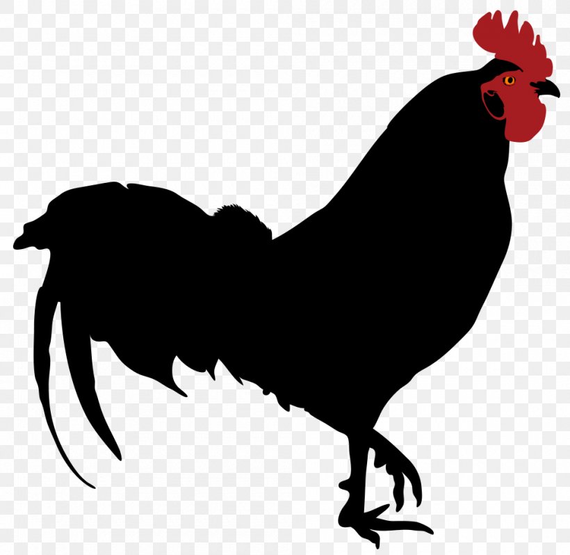 Rooster Silhouette Drawing Clip Art, PNG, 1000x974px, Rooster, Art, Beak, Bird, Black And White Download Free