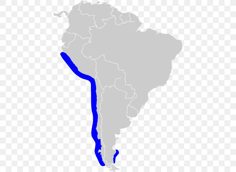South America United States Of America Map Image, PNG, 448x600px, South America, Americas, Blank Map, Continent, Map Download Free