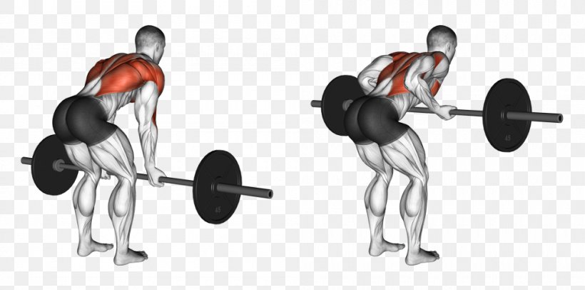 Bent-over Row Barbell Exercise Weight Training, PNG, 1000x496px, Bentover Row, Arm, Barbell, Calf Raises, Chinup Download Free