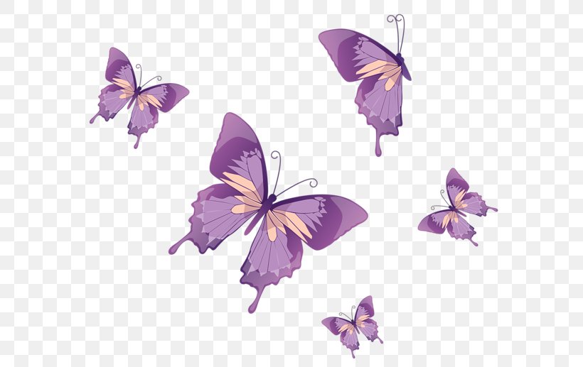 Monarch Butterfly Clip Art, PNG, 600x517px, Butterfly, Blue, Brush Footed Butterfly, Butterflies And Moths, Flower Download Free
