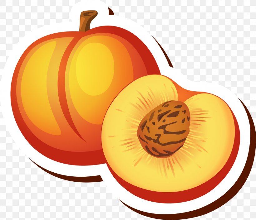 Peach Cartoon Drawing Clip Art, PNG, 1526x1315px, Peach, Apple, Auglis, Banana, Calabaza Download Free