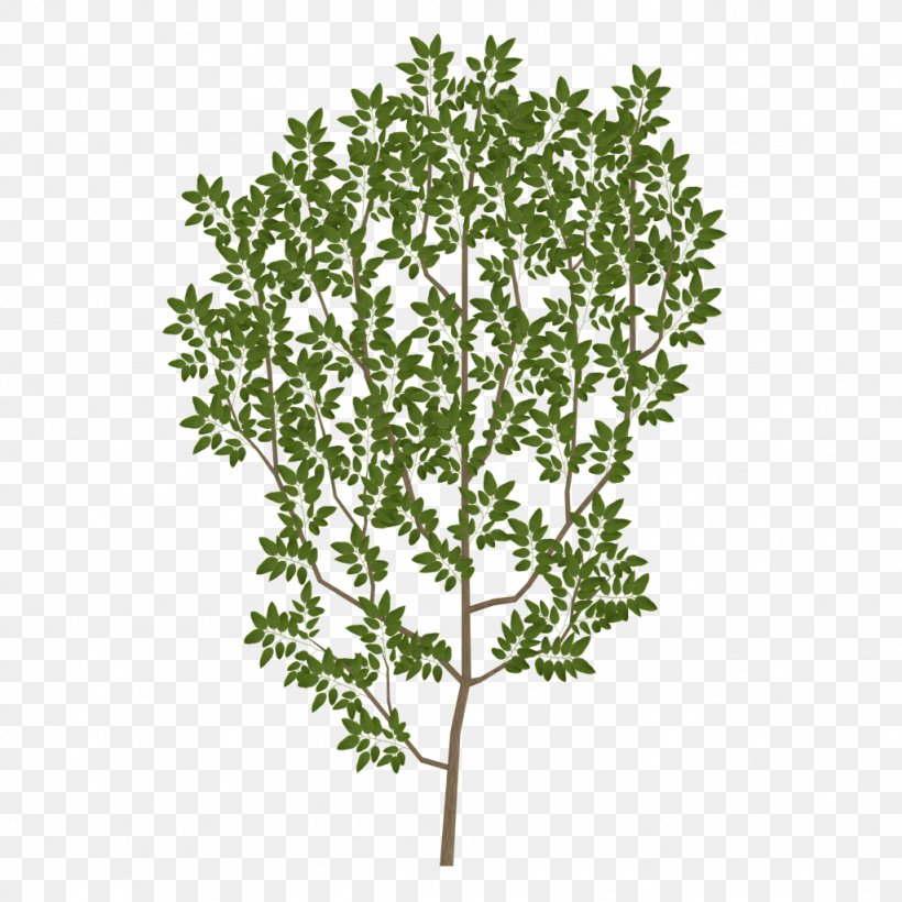 Tree Branch Leaf Texture Mapping UV Mapping, PNG, 1024x1024px, Tree, Blender, Branch, Grass, Herb Download Free