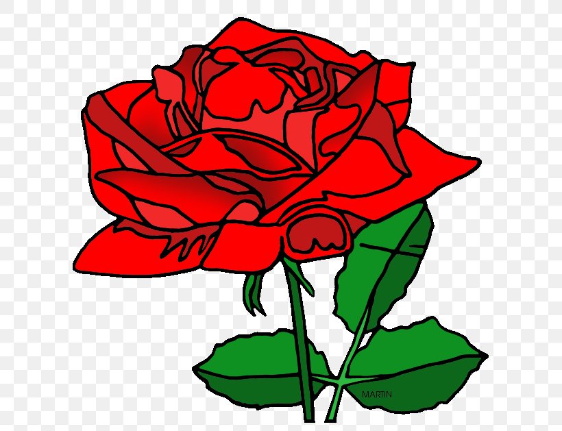 Garden Roses Washington, D.C. Rosa 'American Beauty' Floral Design Clip Art, PNG, 648x629px, Garden Roses, American Beauty, Art, Artwork, Beauty Download Free