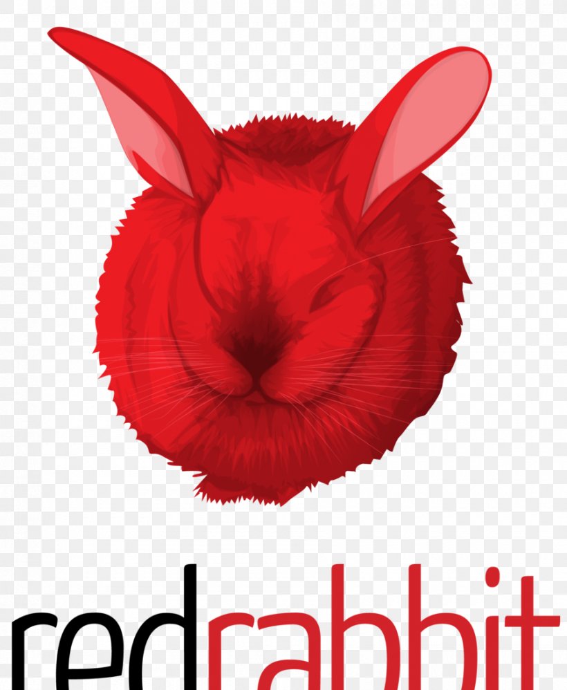Domestic Rabbit Font Fruit Snout, PNG, 900x1096px, Domestic Rabbit, Ear, Fruit, Organism, Photo Caption Download Free
