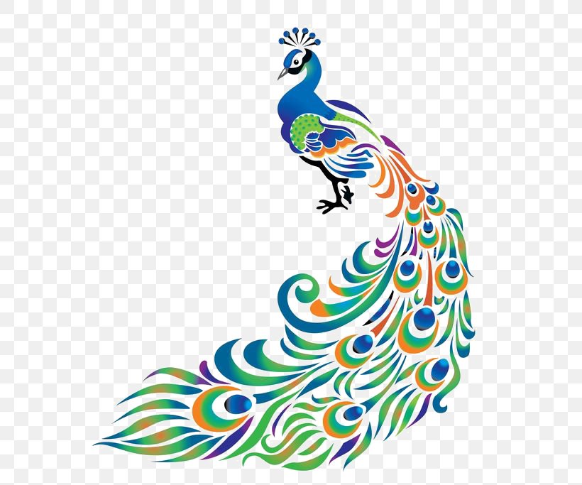 Peafowl Clip Art, PNG, 564x683px, Drawing, Area, Art, Art Museum, Beak Download Free
