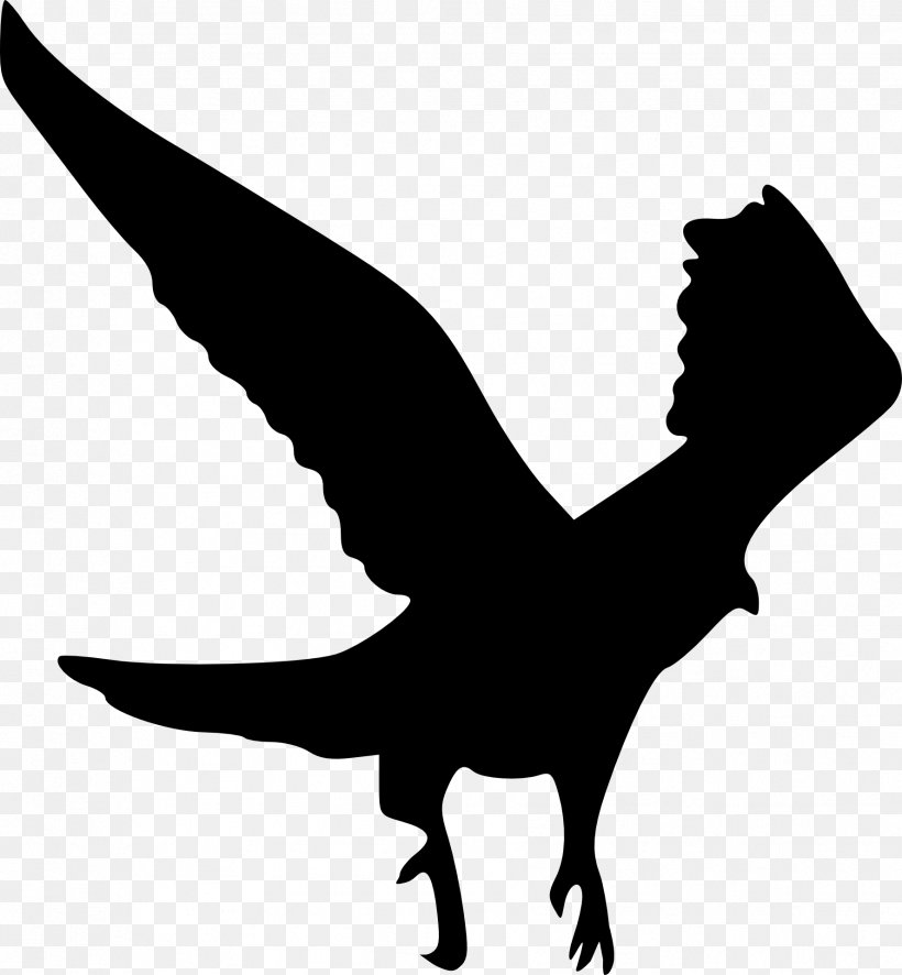 Bird Clip Art, PNG, 1776x1920px, Bird, Beak, Bird Of Prey, Black And White, Dinosaur Download Free