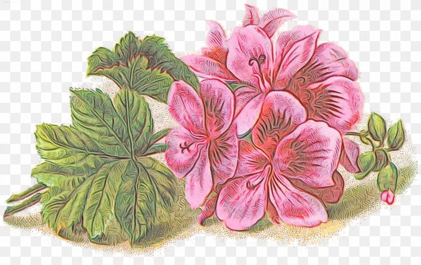 Flower Plant Pink Flowering Plant Petal, PNG, 1260x794px, Watercolor, Flower, Flowering Plant, Geranium, Herbaceous Plant Download Free