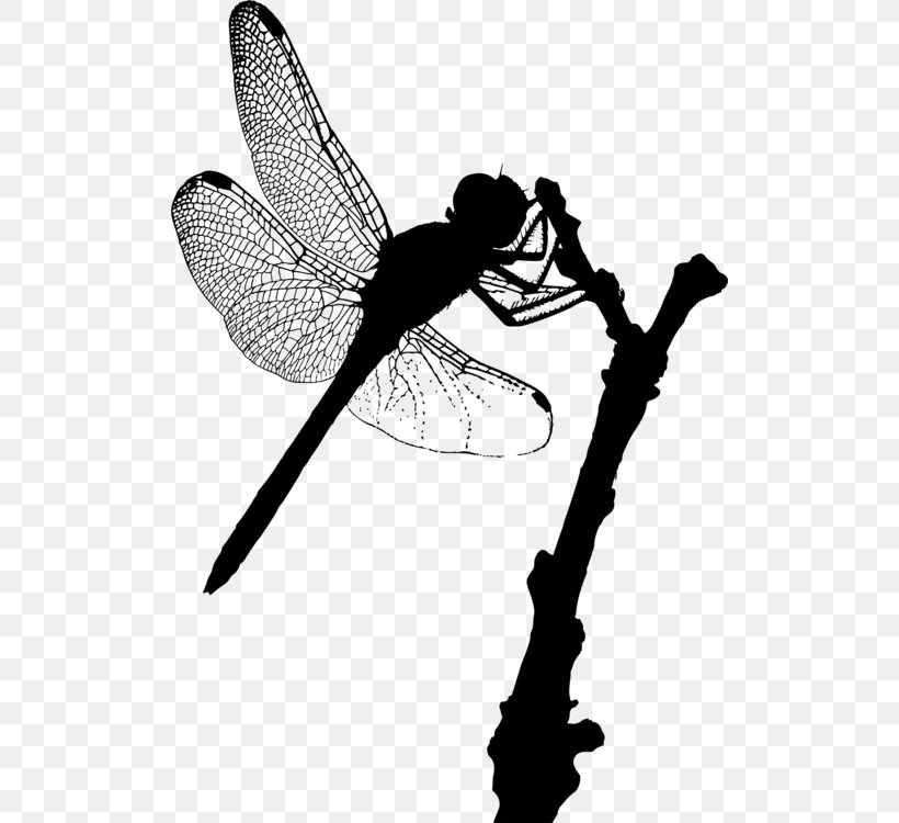 Insect A Dragonfly? Silhouette Damselflies, PNG, 508x750px, Insect, Black And White, Blackandwhite, Branch, Damselflies Download Free