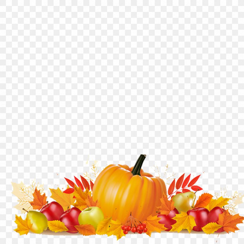 Thanksgiving Autumn Leaf Color Illustration, PNG, 850x850px, Thanksgiving, Autumn, Autumn Leaf Color, Calabaza, Cornucopia Download Free