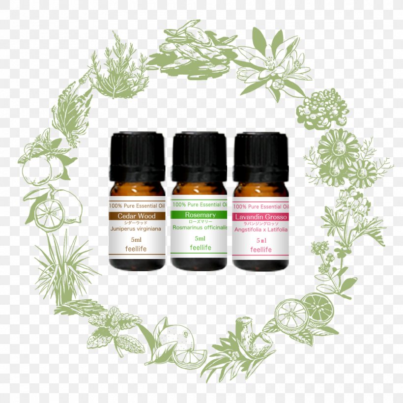Herbalism Flavor Essential Oil Fragrance Oil, PNG, 960x960px, Herb, Aromatherapy, Essential Oil, Family, Flavor Download Free