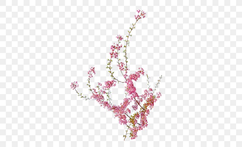 Peach Blossom, PNG, 393x500px, Peach, Blossom, Branch, Cherry Blossom, Floral Design Download Free