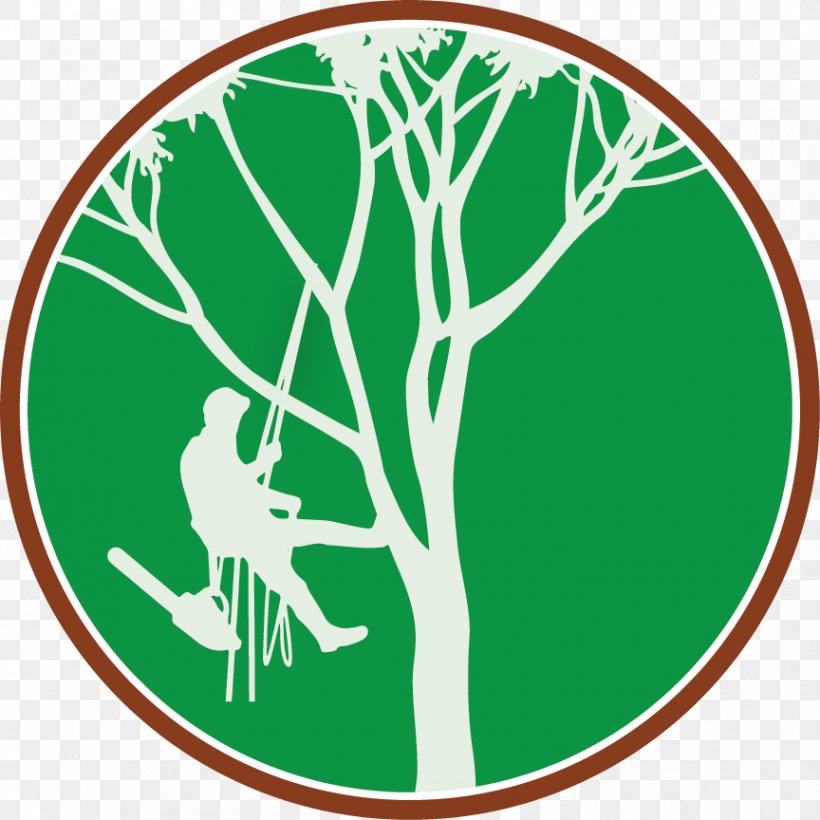 Tree Climbing Arborist Branch Clip Art, PNG, 864x864px, Tree Climbing, Arborist, Area, Branch, Certified Arborist Download Free