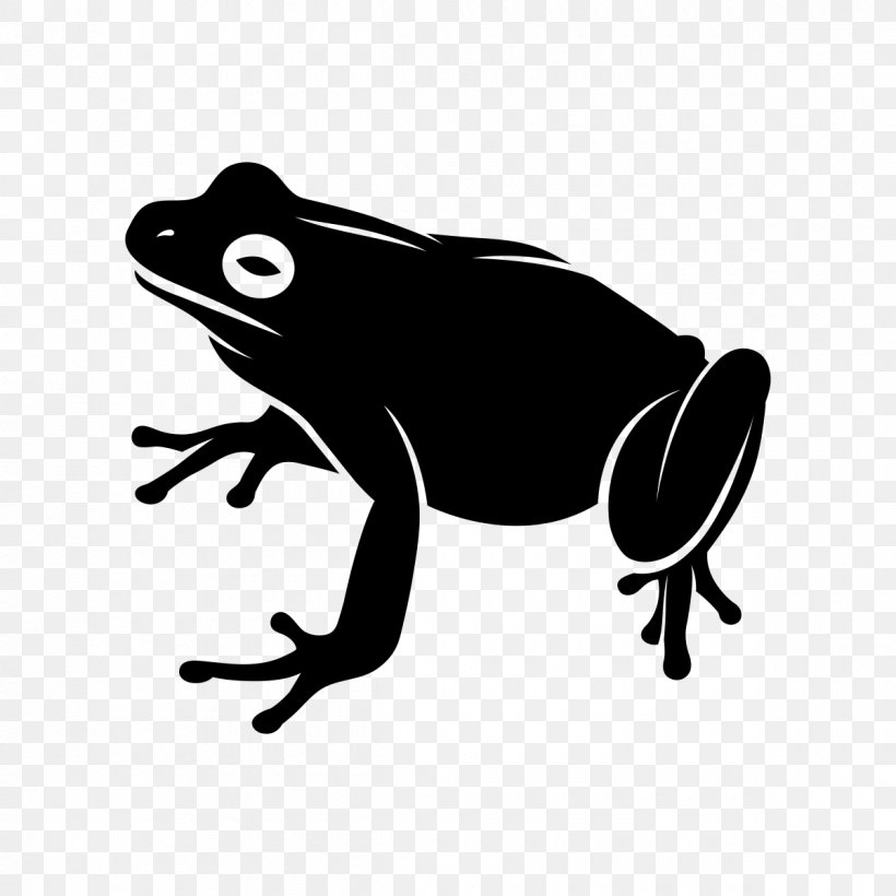 Tree Stencil, PNG, 1200x1200px, Toad, Amphibian, Amphibians, Animal, Bufo Download Free