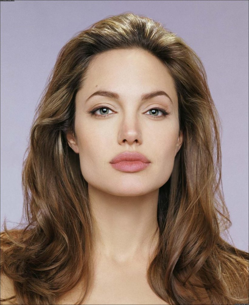 Angelina Jolie Hollywood Salt Actor YouTube, PNG, 1000x1224px, Watercolor, Cartoon, Flower, Frame, Heart Download Free
