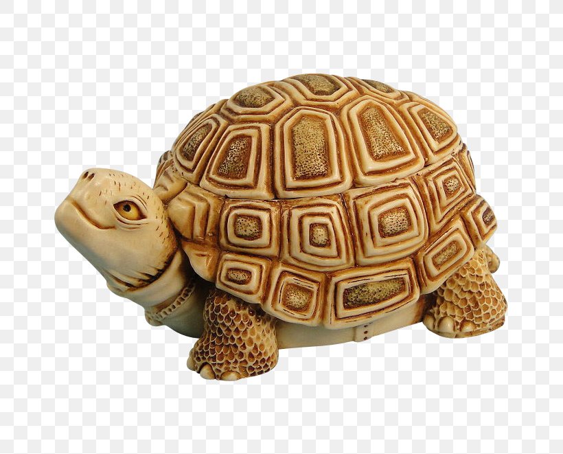 Box Turtle, PNG, 661x661px, Turtle, Box Turtle, Coahuilan Box Turtle, Common Box Turtle, Emydidae Download Free