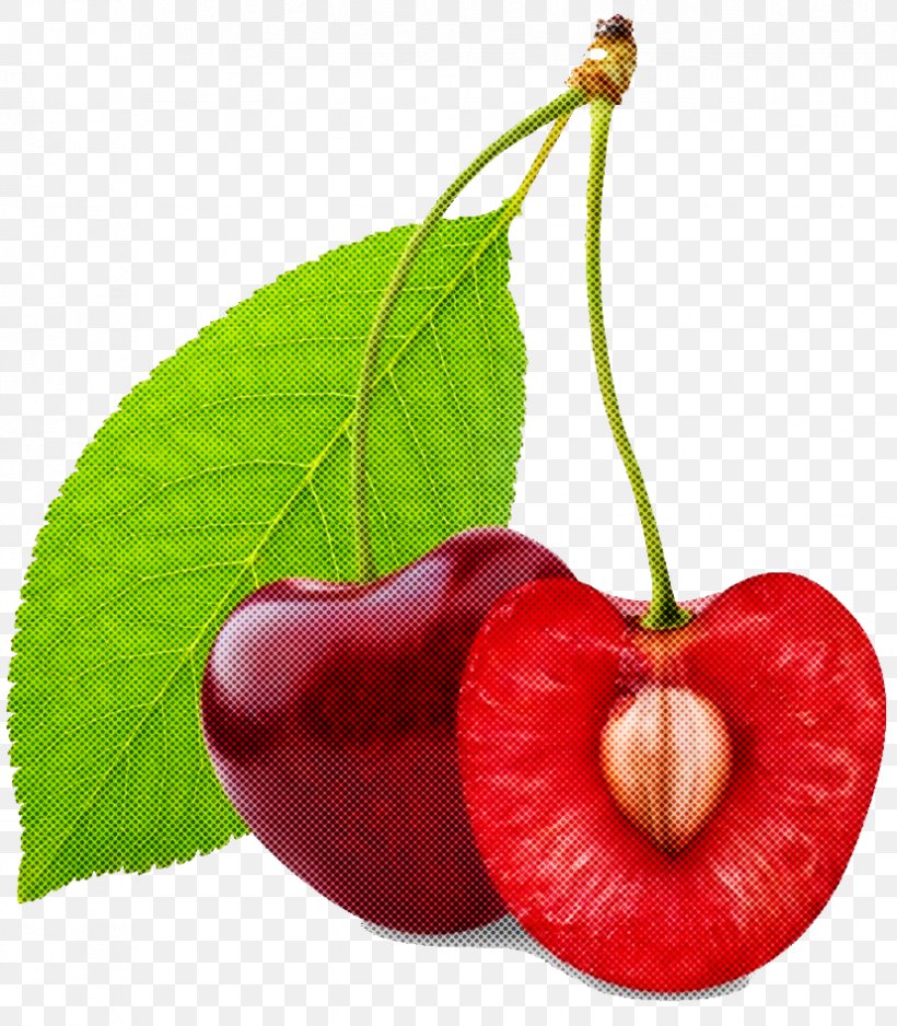 Natural Foods Cherry Plant Leaf Fruit, PNG, 828x948px, Natural Foods, Accessory Fruit, Cherry, Flower, Food Download Free