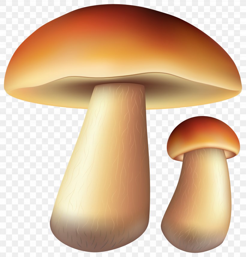 Autumn Clip Art, PNG, 5751x6000px, Blog, Digital Media, Edible Mushroom, Fungus, Furniture Download Free